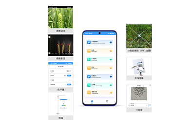 玉树藏族自治州小麦表型检测仪IN-XM04