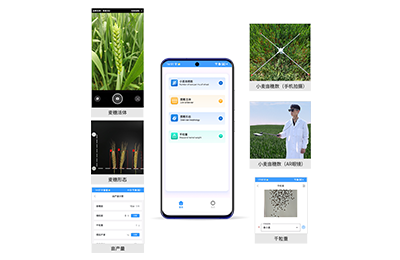 玉树藏族自治州小麦亩穗数分析仪IN-XM…